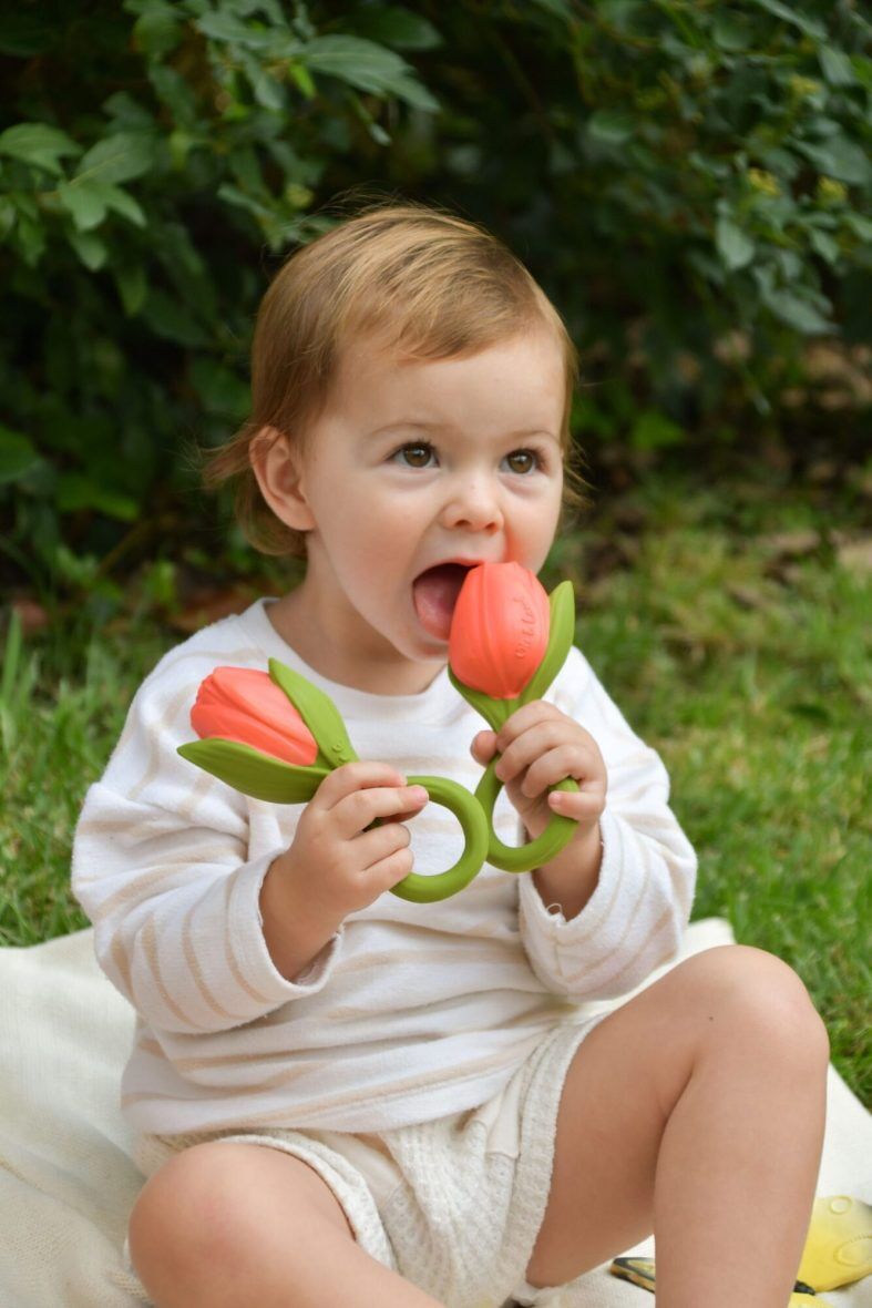 Grizalo tulipan Theo, Oli&Carol